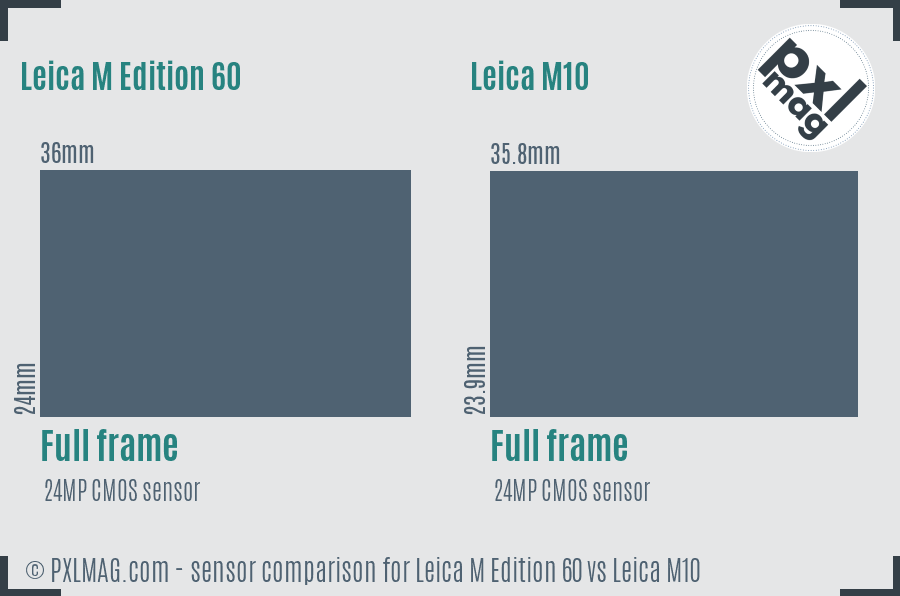 Leica M Edition 60 vs Leica M10 sensor size comparison