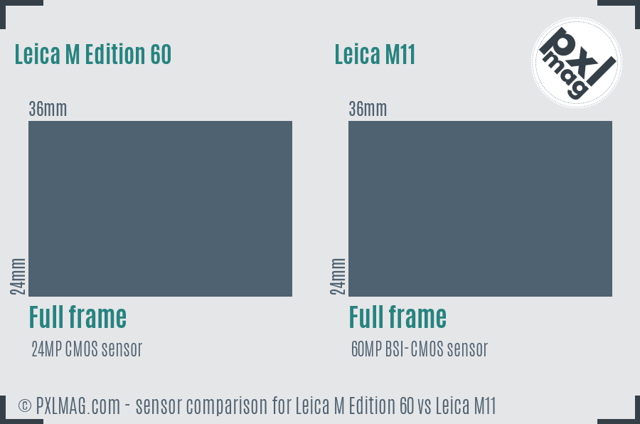 Leica M Edition 60 vs Leica M11 sensor size comparison