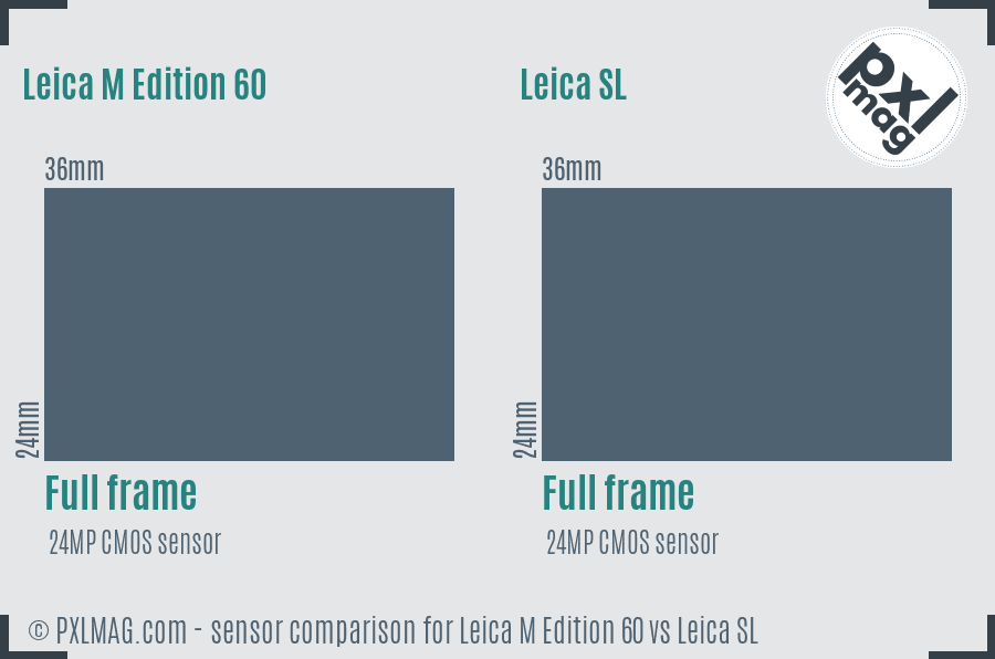 Leica M Edition 60 vs Leica SL sensor size comparison