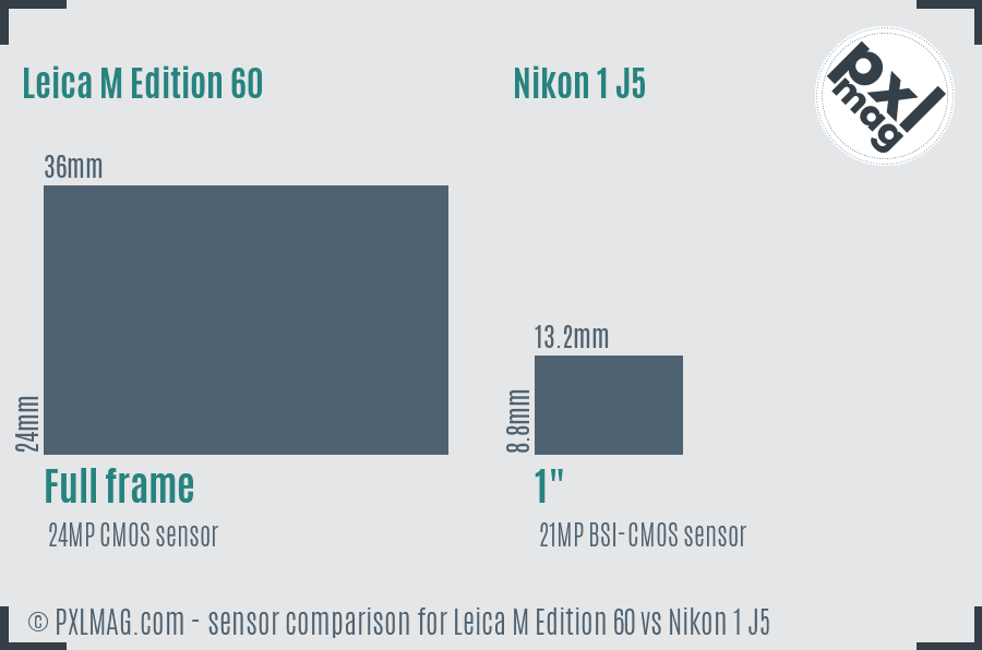 Leica M Edition 60 vs Nikon 1 J5 sensor size comparison