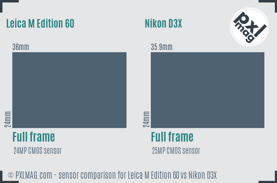 Leica M Edition 60 vs Nikon D3X sensor size comparison