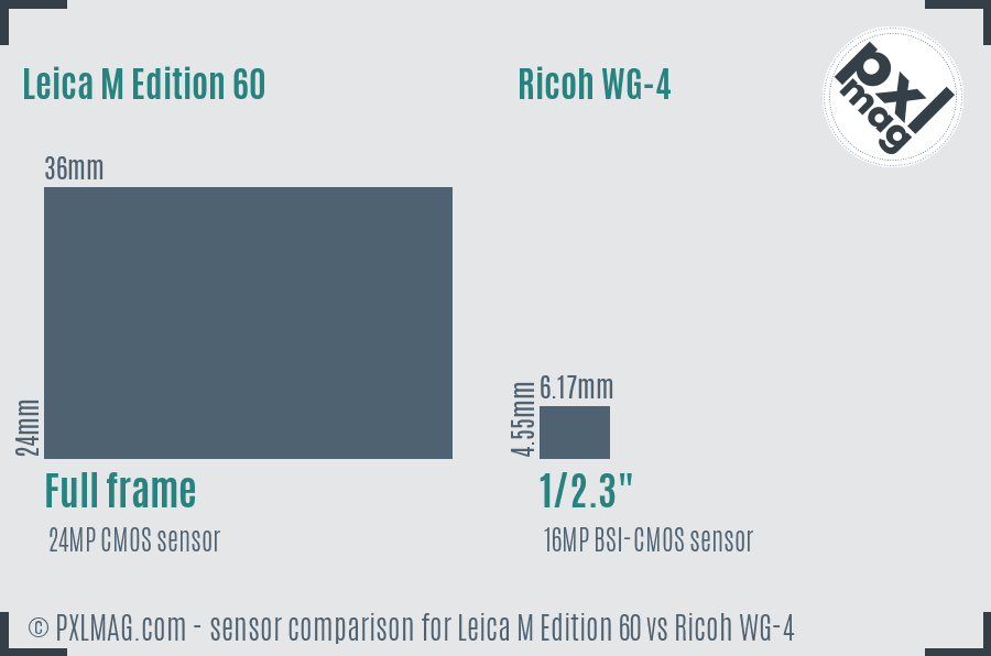 Leica M Edition 60 vs Ricoh WG-4 sensor size comparison