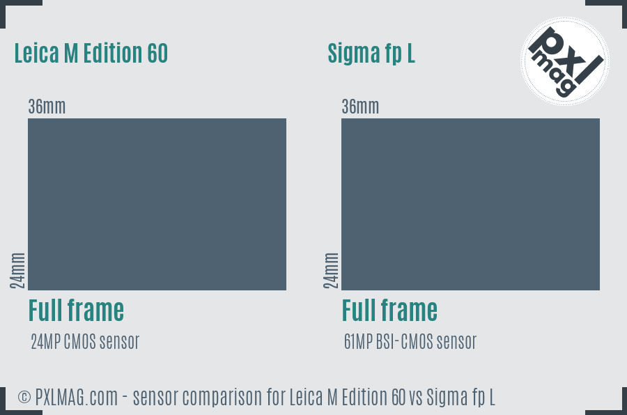 Leica M Edition 60 vs Sigma fp L sensor size comparison