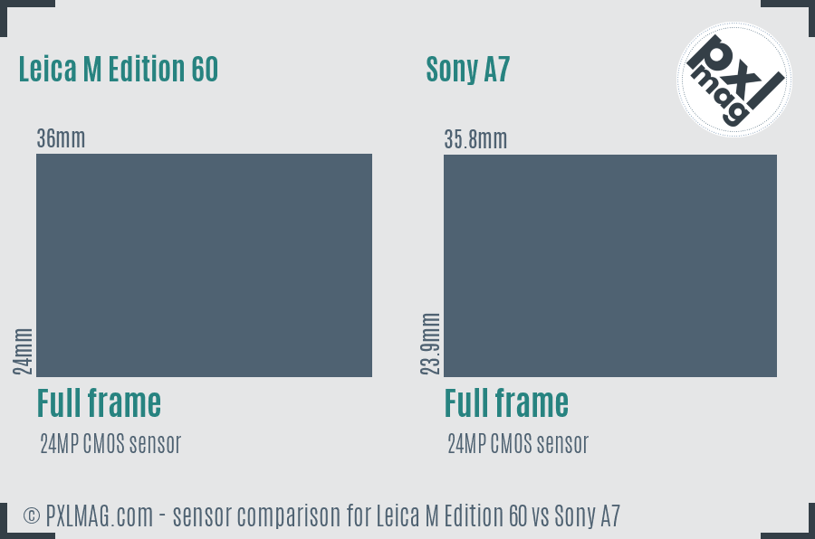 Leica M Edition 60 vs Sony A7 sensor size comparison