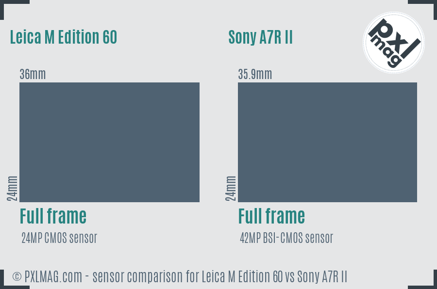 Leica M Edition 60 vs Sony A7R II sensor size comparison