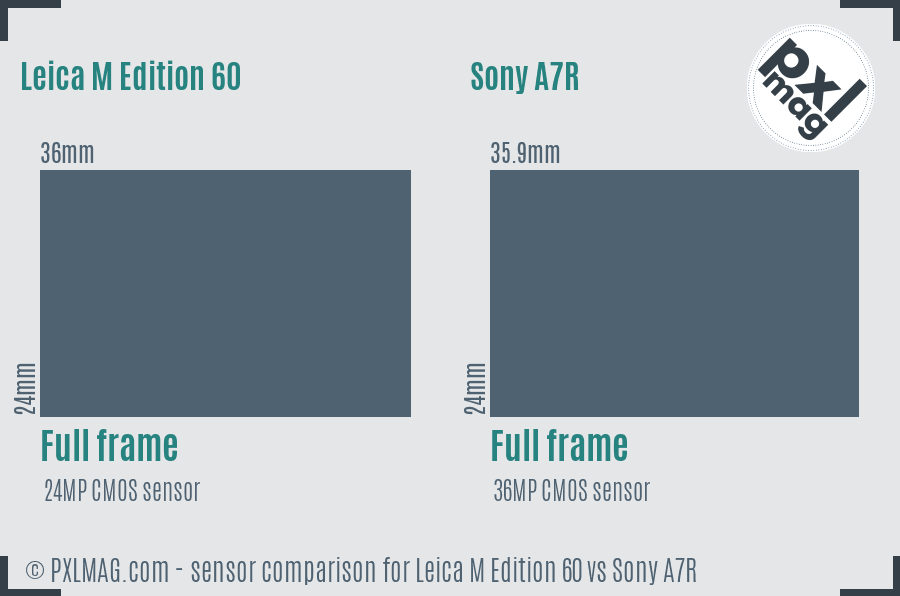 Leica M Edition 60 vs Sony A7R sensor size comparison