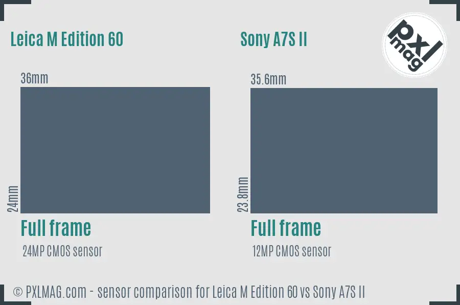 Leica M Edition 60 vs Sony A7S II sensor size comparison