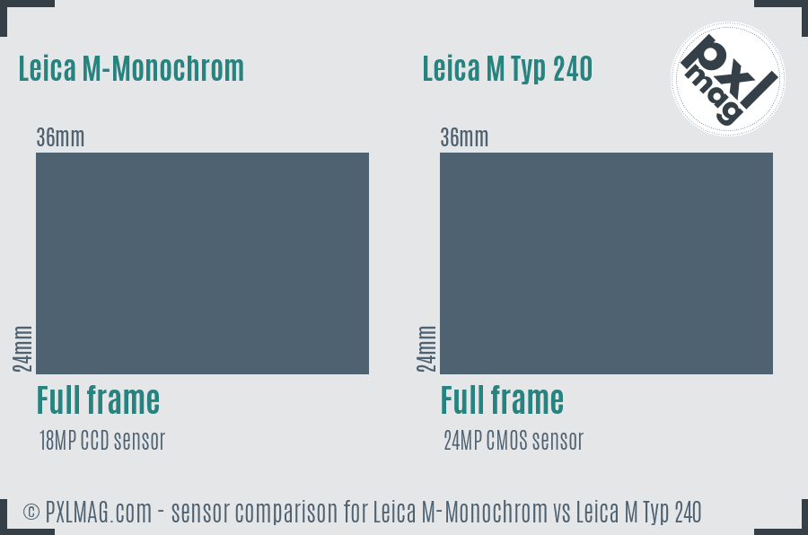 Leica M-Monochrom vs Leica M Typ 240 sensor size comparison