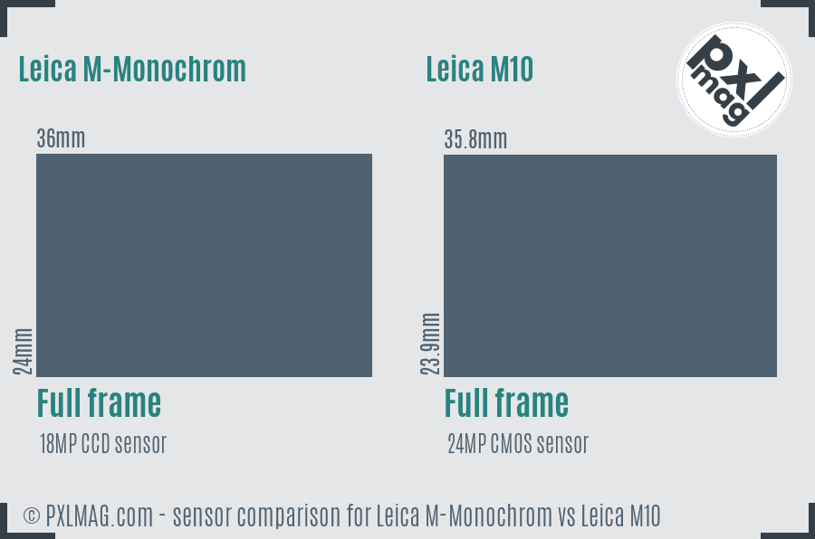 Leica M-Monochrom vs Leica M10 sensor size comparison
