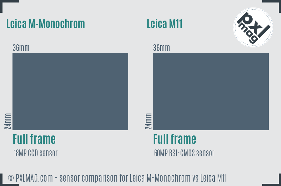 Leica M-Monochrom vs Leica M11 sensor size comparison