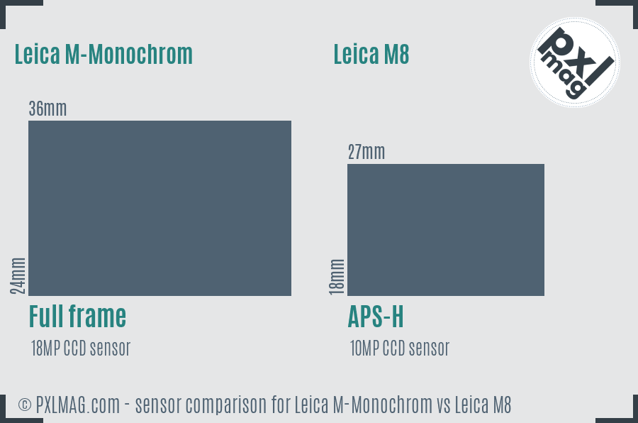 Leica M-Monochrom vs Leica M8 sensor size comparison