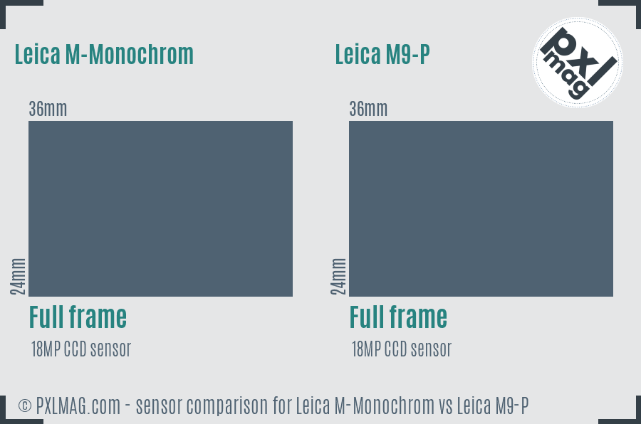 Leica M-Monochrom vs Leica M9-P sensor size comparison