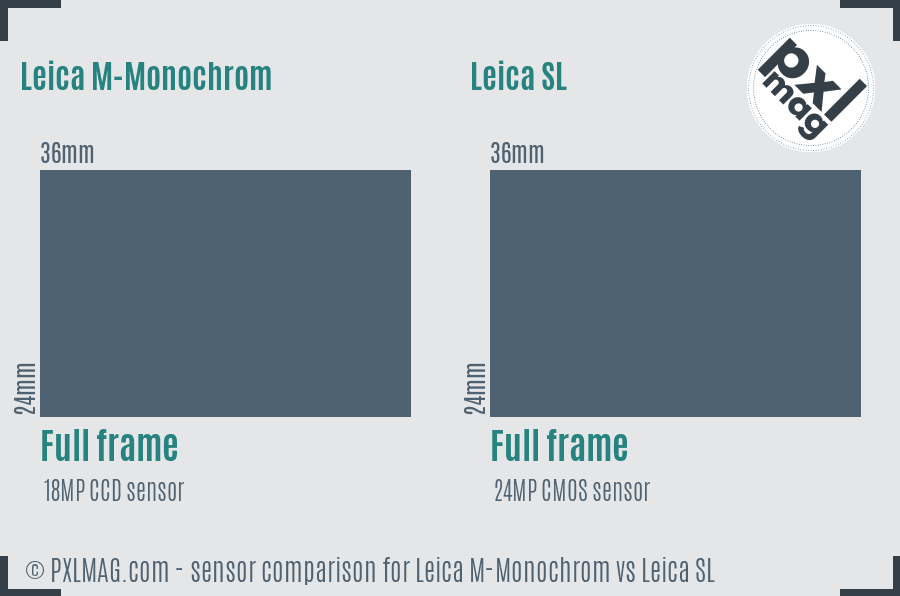 Leica M-Monochrom vs Leica SL sensor size comparison