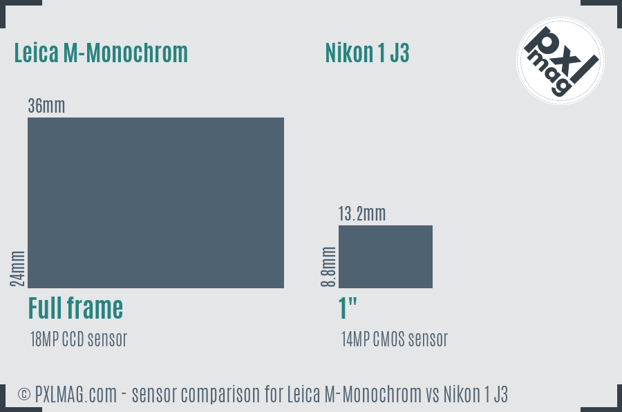 Leica M-Monochrom vs Nikon 1 J3 sensor size comparison