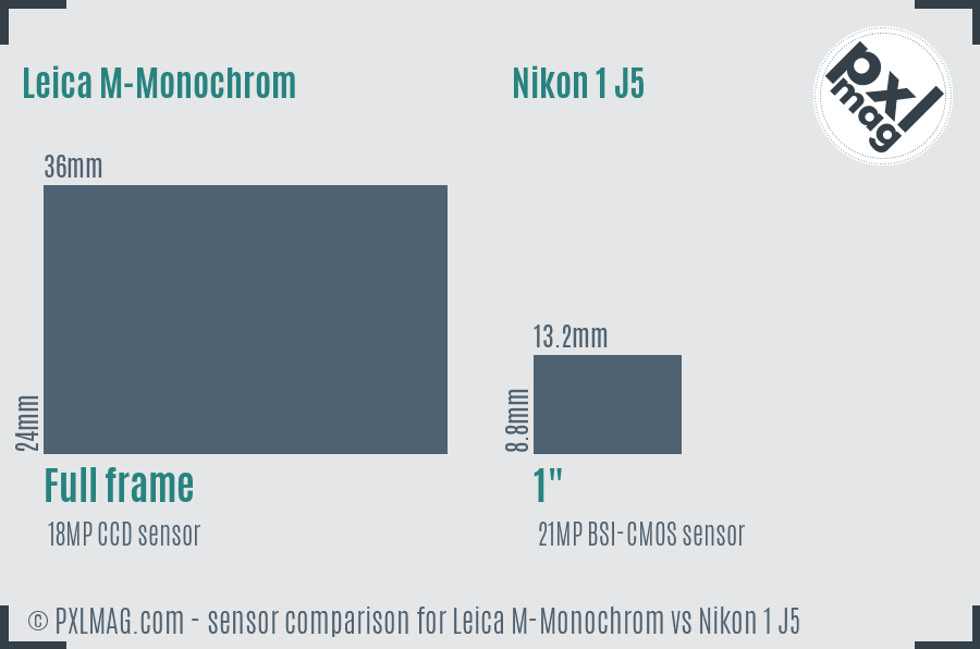 Leica M-Monochrom vs Nikon 1 J5 sensor size comparison