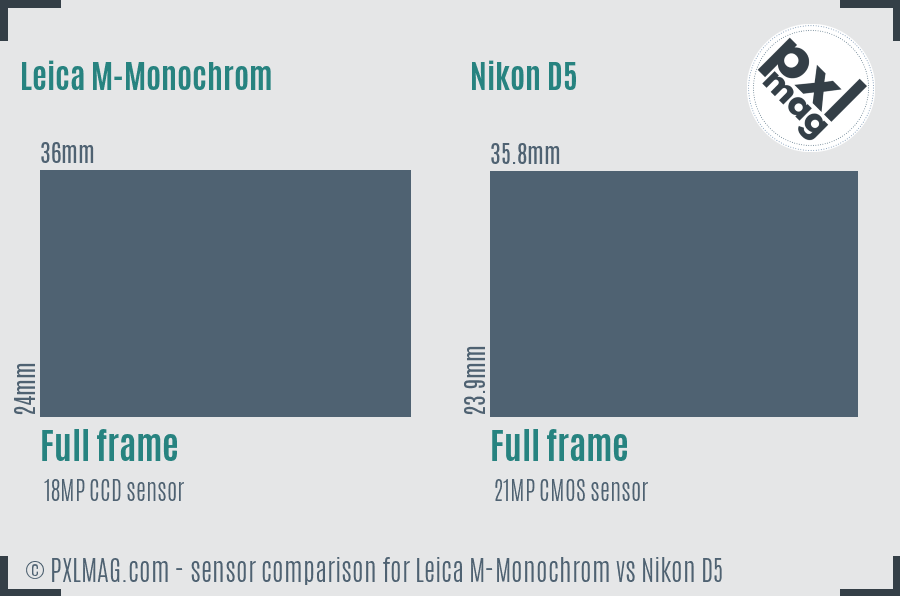 Leica M-Monochrom vs Nikon D5 sensor size comparison
