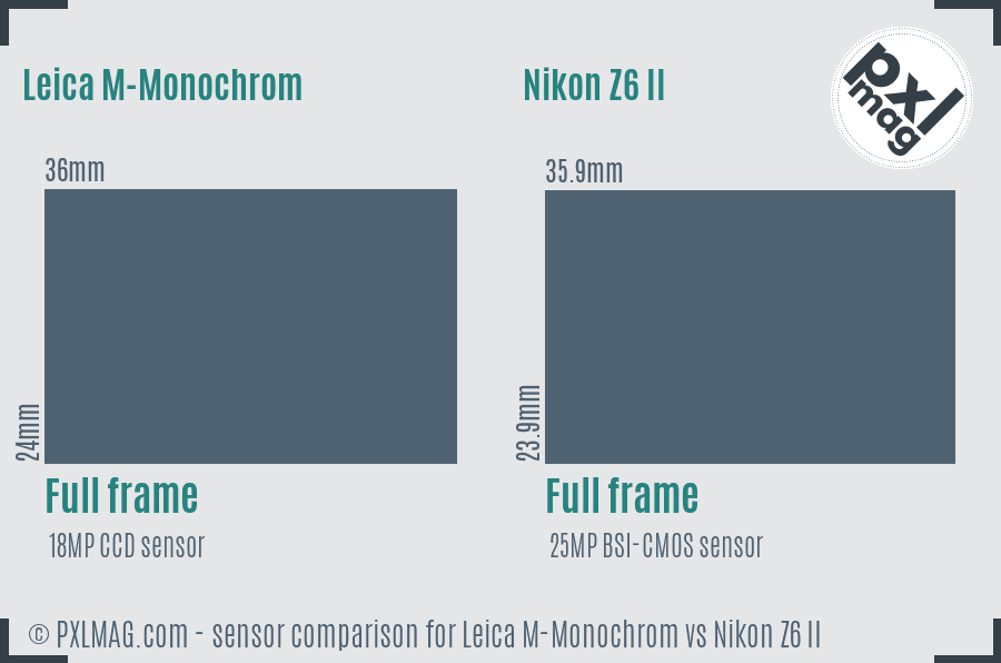Leica M-Monochrom vs Nikon Z6 II sensor size comparison