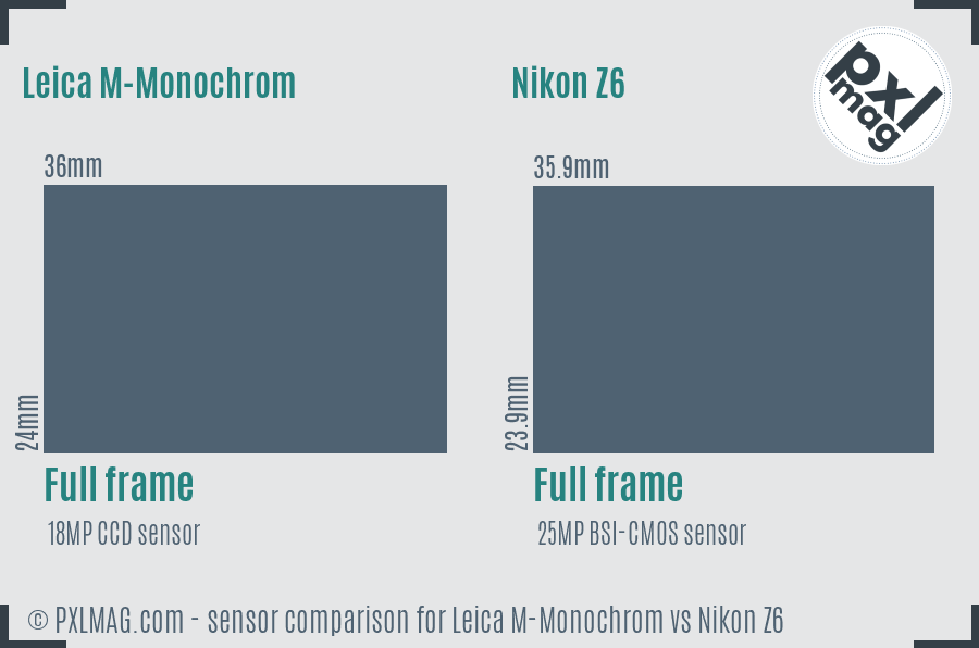 Leica M-Monochrom vs Nikon Z6 sensor size comparison