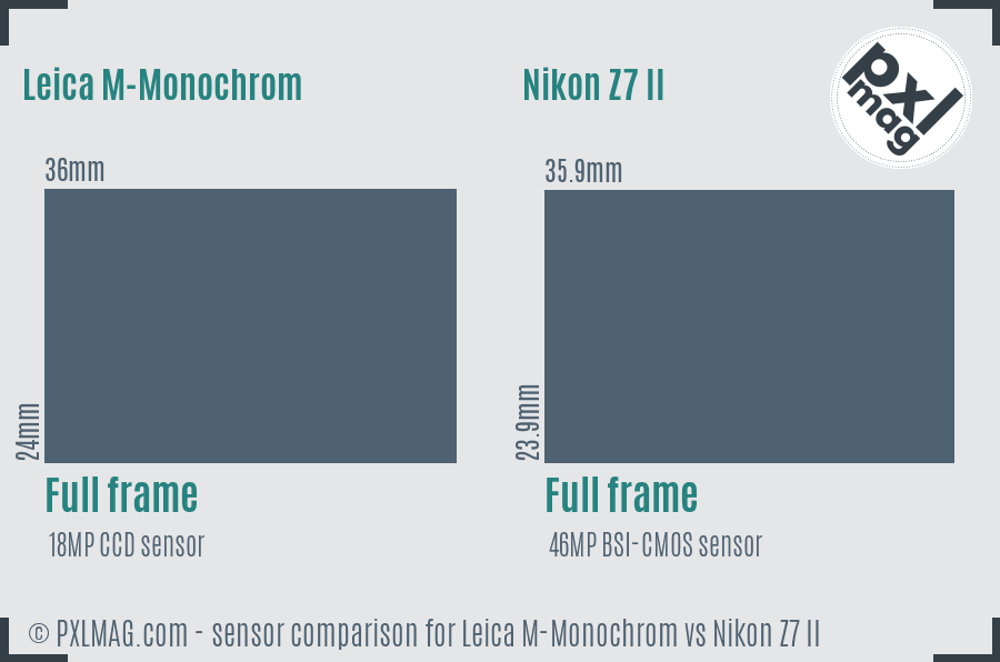 Leica M-Monochrom vs Nikon Z7 II sensor size comparison