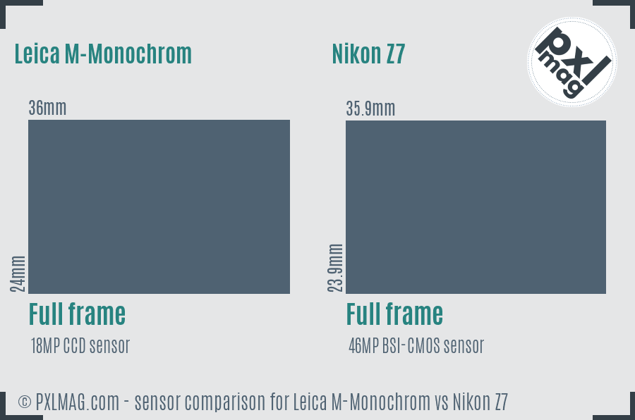 Leica M-Monochrom vs Nikon Z7 sensor size comparison