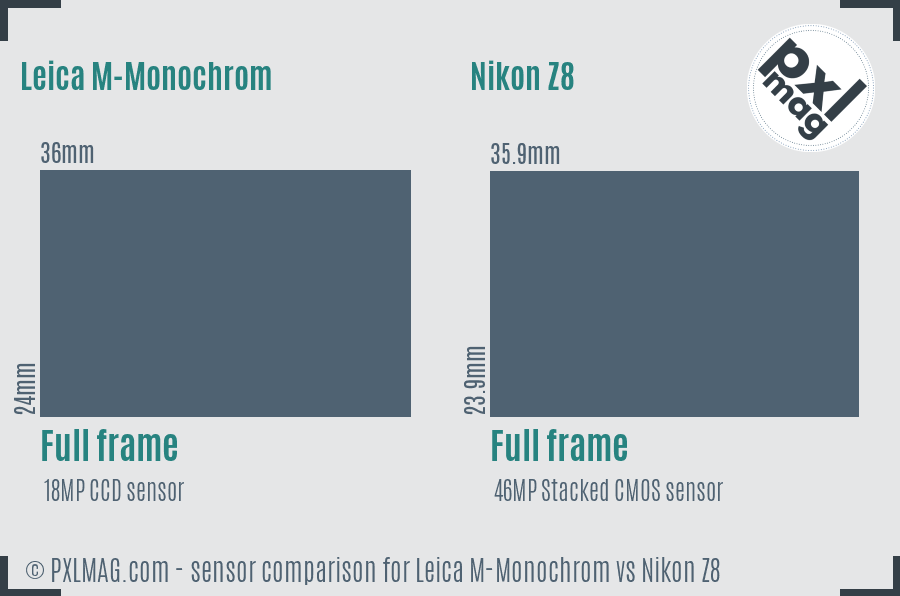 Leica M-Monochrom vs Nikon Z8 sensor size comparison