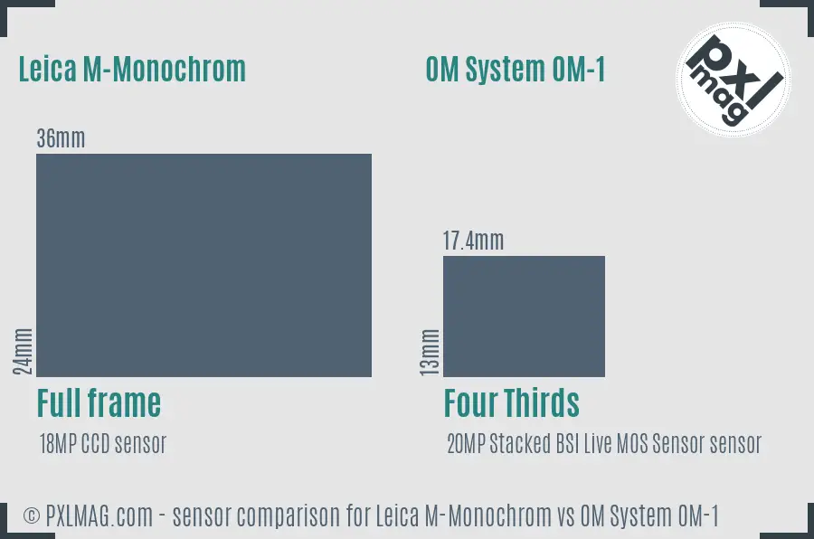 Leica M-Monochrom vs OM System OM-1 sensor size comparison Leica M-Monochrom vs OM System OM-1 sensor size comparison