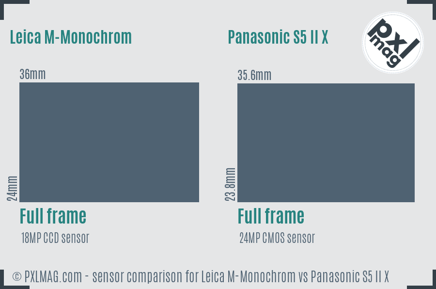 Leica M-Monochrom vs Panasonic S5 II X sensor size comparison