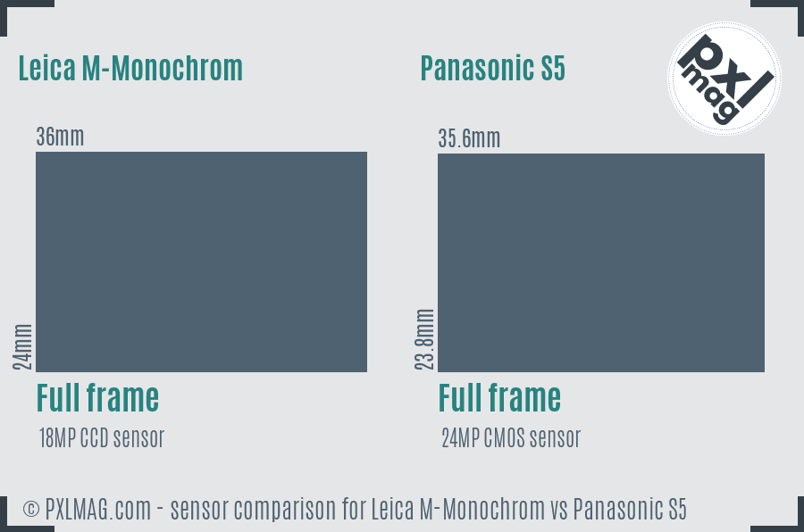 Leica M-Monochrom vs Panasonic S5 sensor size comparison