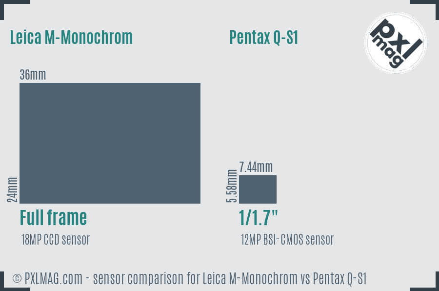 Leica M-Monochrom vs Pentax Q-S1 sensor size comparison
