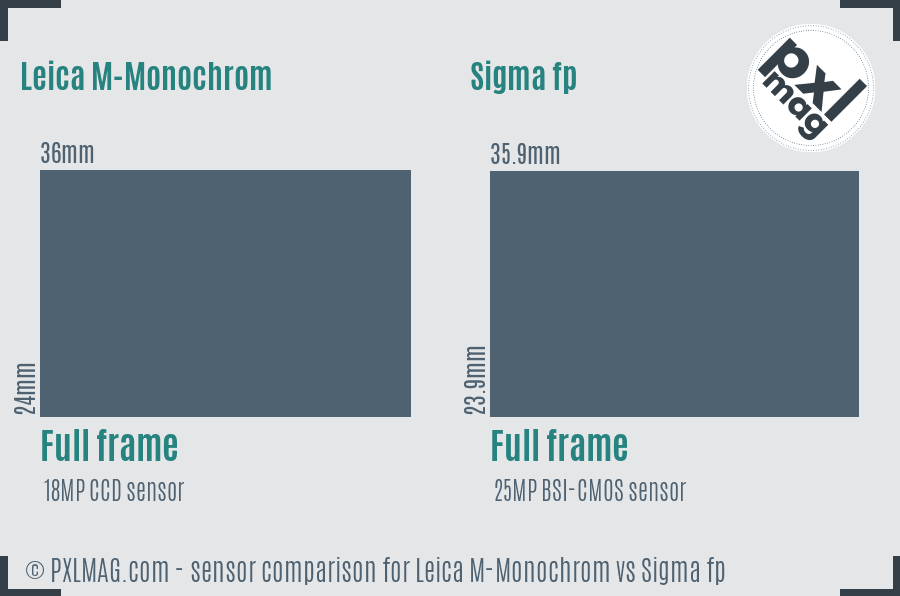 Leica M-Monochrom vs Sigma fp sensor size comparison