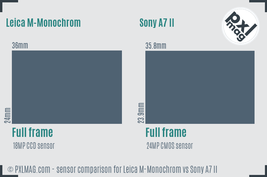 Leica M-Monochrom vs Sony A7 II sensor size comparison