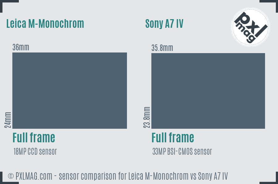 Leica M-Monochrom vs Sony A7 IV sensor size comparison