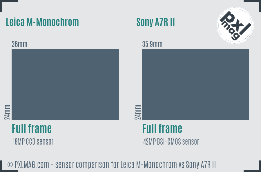 Leica M-Monochrom vs Sony A7R II sensor size comparison