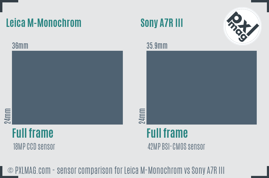 Leica M-Monochrom vs Sony A7R III sensor size comparison
