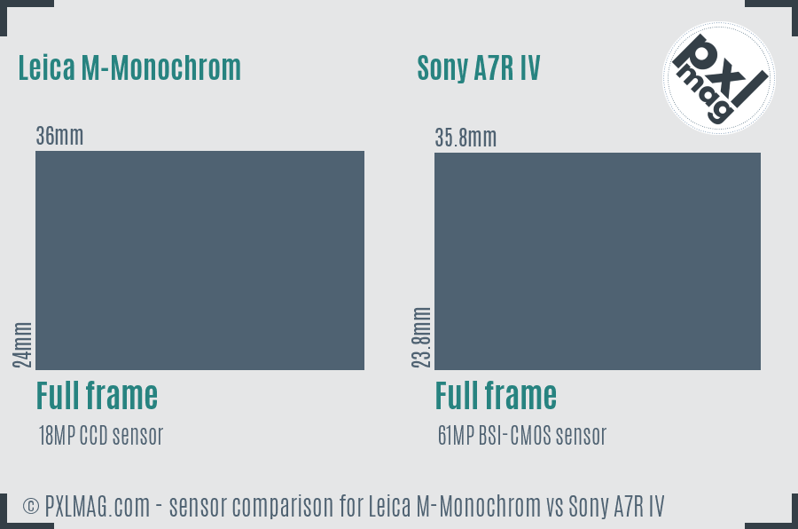 Leica M-Monochrom vs Sony A7R IV sensor size comparison