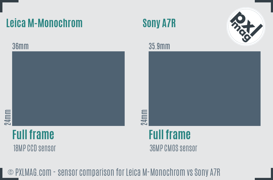 Leica M-Monochrom vs Sony A7R sensor size comparison