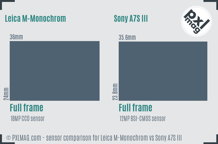 Leica M-Monochrom vs Sony A7S III sensor size comparison