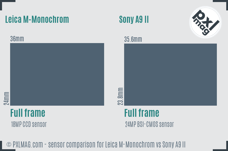 Leica M-Monochrom vs Sony A9 II sensor size comparison