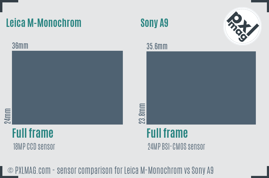 Leica M-Monochrom vs Sony A9 sensor size comparison