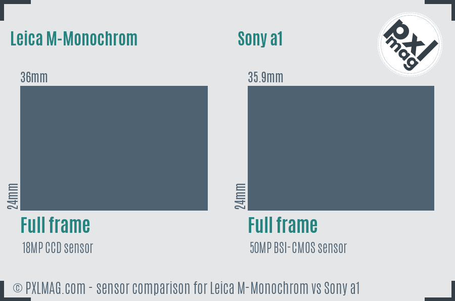 Leica M-Monochrom vs Sony a1 sensor size comparison
