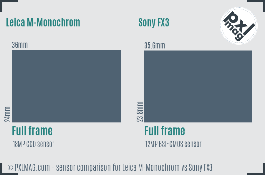 Leica M-Monochrom vs Sony FX3 sensor size comparison