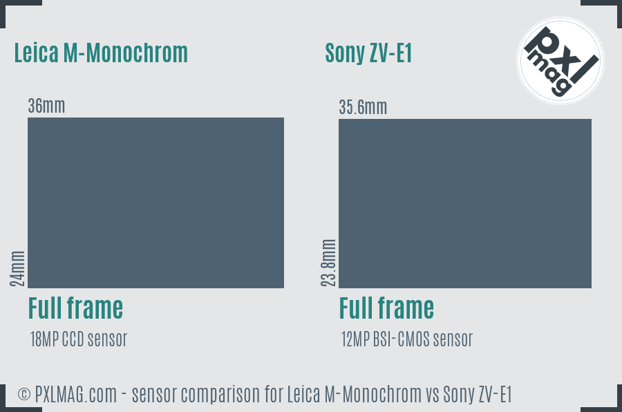 Leica M-Monochrom vs Sony ZV-E1 sensor size comparison
