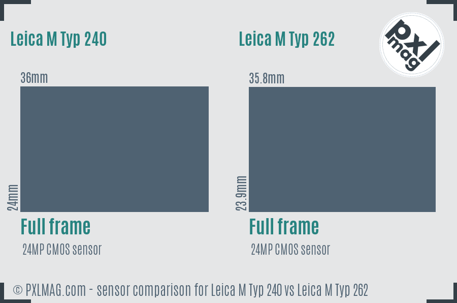 Leica M Typ 240 vs Leica M Typ 262 sensor size comparison