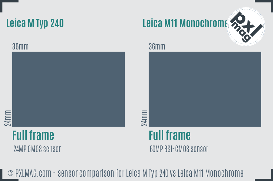 Leica M Typ 240 vs Leica M11 Monochrome sensor size comparison