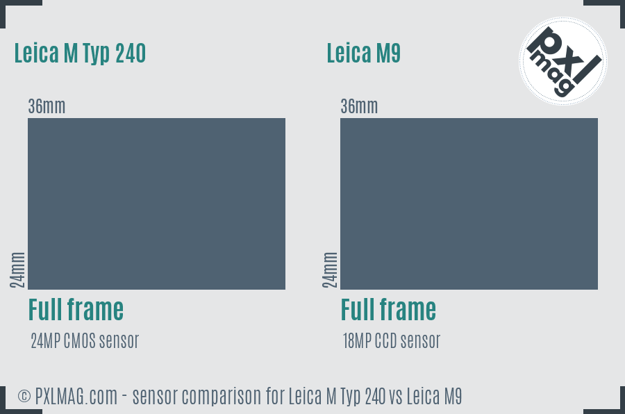 Leica M Typ 240 vs Leica M9 sensor size comparison