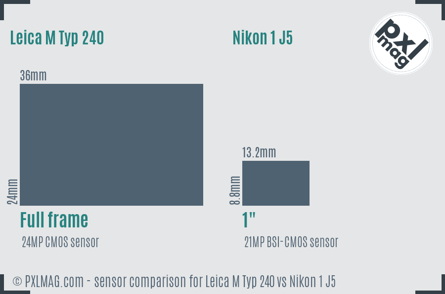 Leica M Typ 240 vs Nikon 1 J5 sensor size comparison
