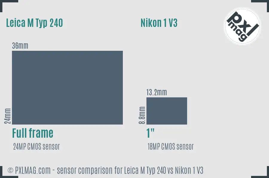 Leica M Typ 240 vs Nikon 1 V3 sensor size comparison