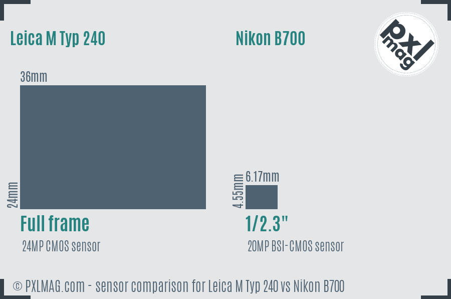 Leica M Typ 240 vs Nikon B700 sensor size comparison Leica M Typ 240 vs Nikon B700 sensor size comparison