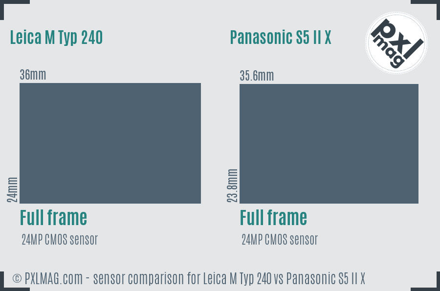 Leica M Typ 240 vs Panasonic S5 II X sensor size comparison