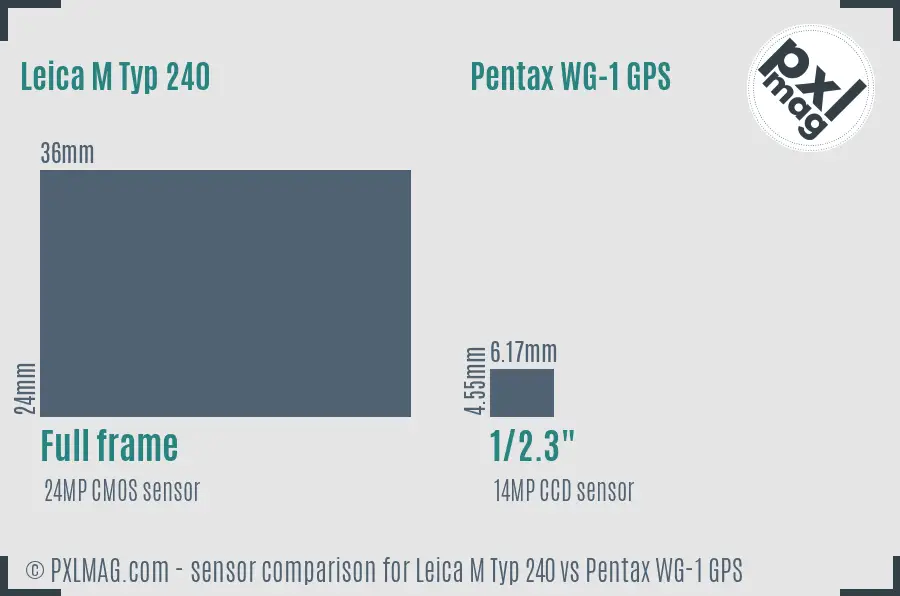 Leica M Typ 240 vs Pentax WG-1 GPS sensor size comparison Leica M Typ 240 vs Pentax WG-1 GPS sensor size comparison